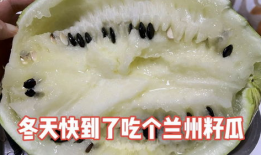 兰州籽瓜可以免费吃吗,免费品尝的夏日美味诱惑